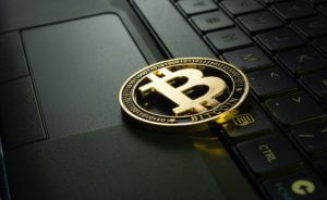 bitcoin article filler