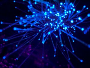 fiber optic